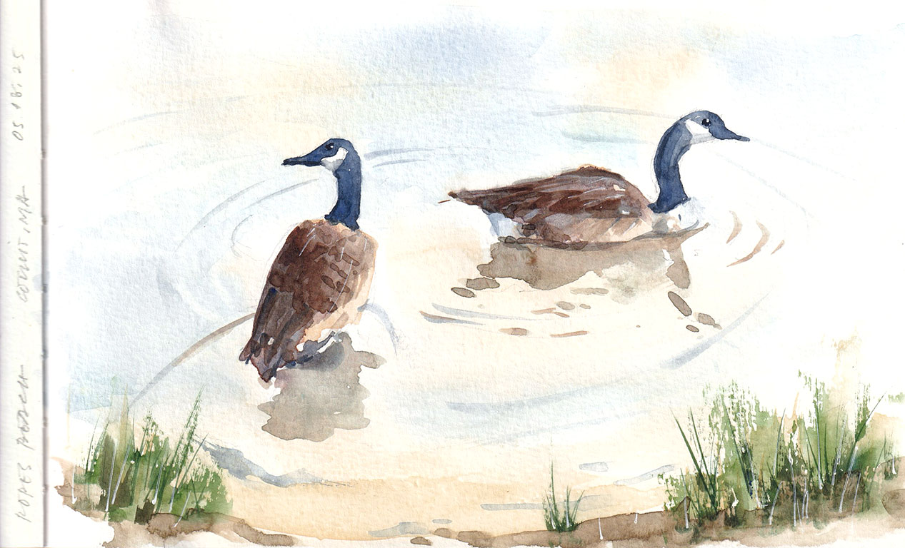 Ropes Beach – Cotuit, MA