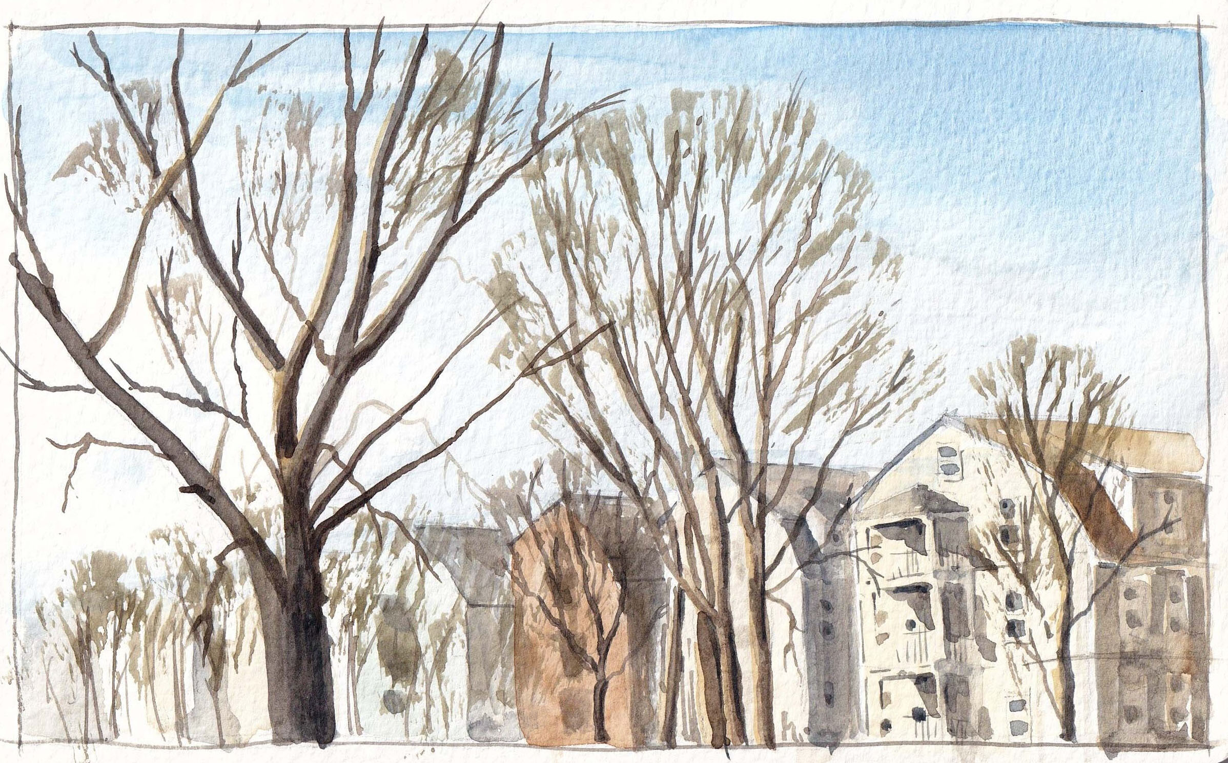 Winter on Marlboro St – Belmont, MA