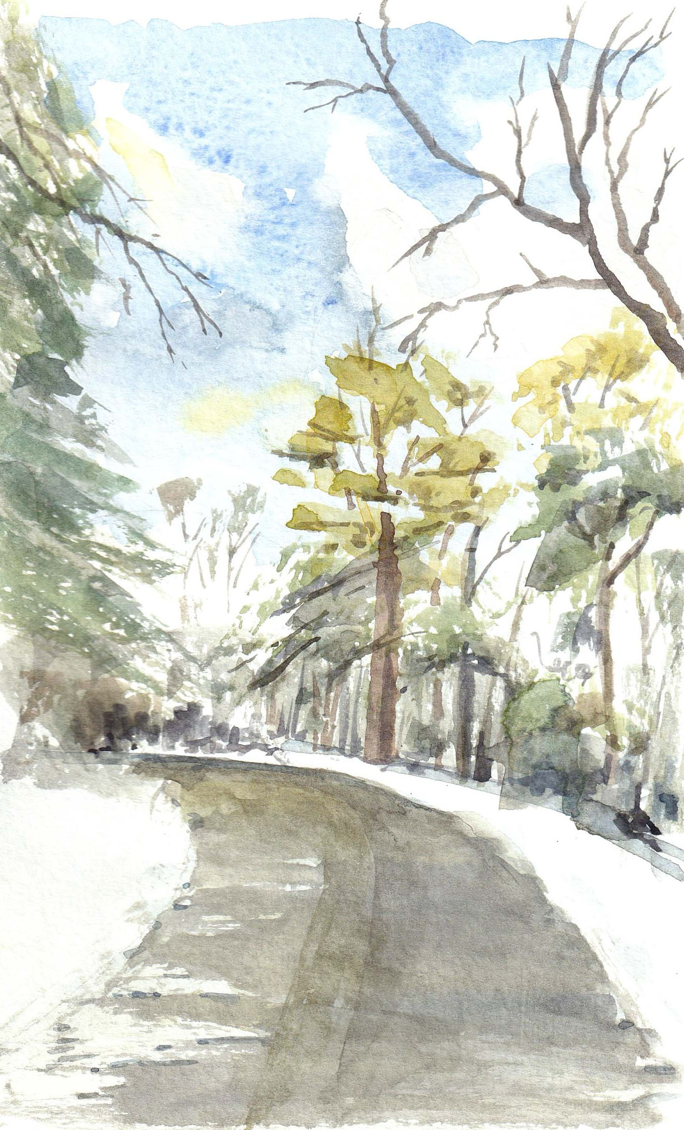 Snowy Regency Drive – Marstons Mills, MA