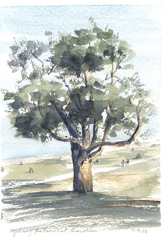 Royal Botanical Garden – Sydney, Austraila